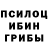 Галлюциногенные грибы прущие грибы _m_e_l_e_k_