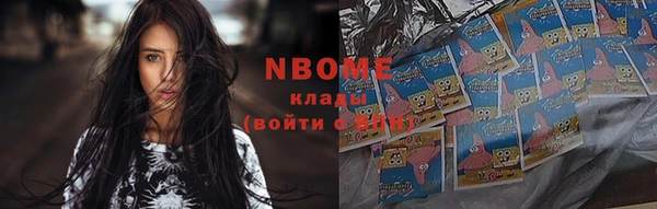 молекула духа Богородицк