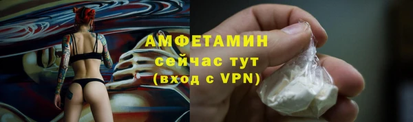 молекула духа Богородицк