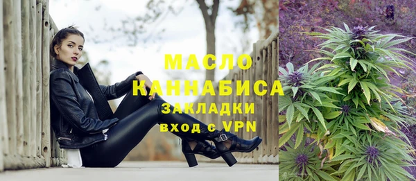молекула духа Богородицк