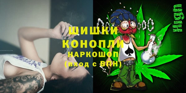 молекула духа Богородицк