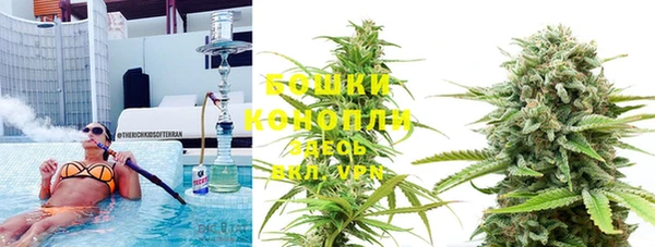 молекула духа Богородицк