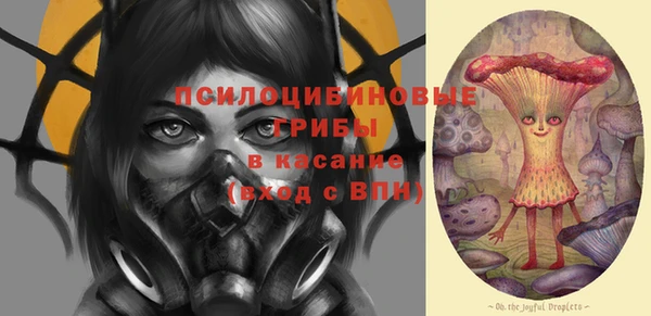 соль курить ск Богданович