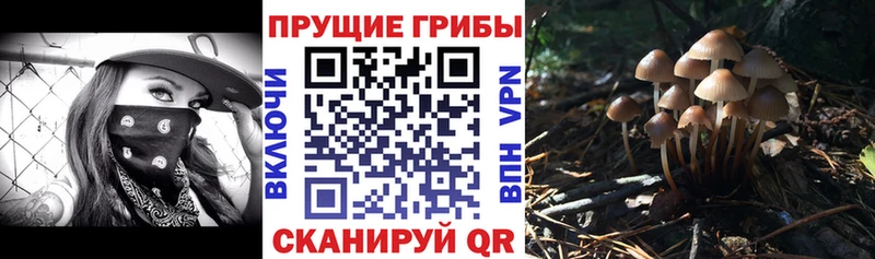 Галлюциногенные грибы прущие грибы Воркута