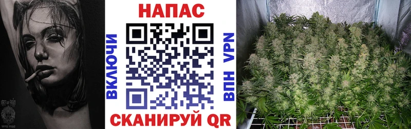 Шишки марихуана ГИДРОПОН  наркотики  KRAKEN онион  Воркута 